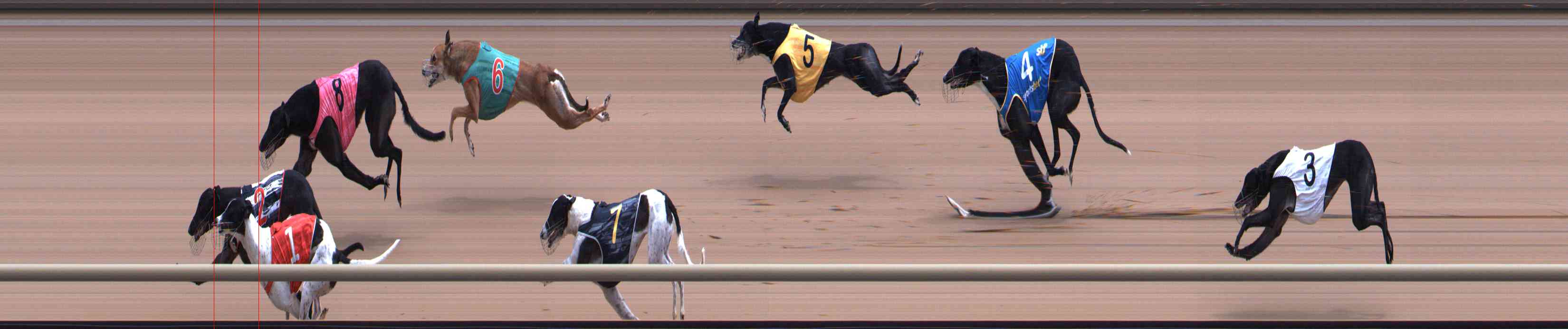 Race result finish photo